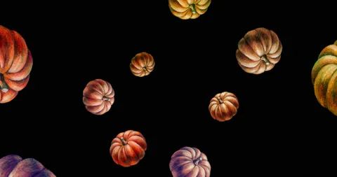 Hand-drawn autumn pumpkins appearing on black animation. Stock Footage 130394662