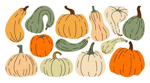 Hand drawn autumn set of pumpkins and gourds in whimsical shapes. Stock Illustration