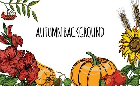 Hand drawn autumn vector background. Autumn colors and strokes. Stock Illustration