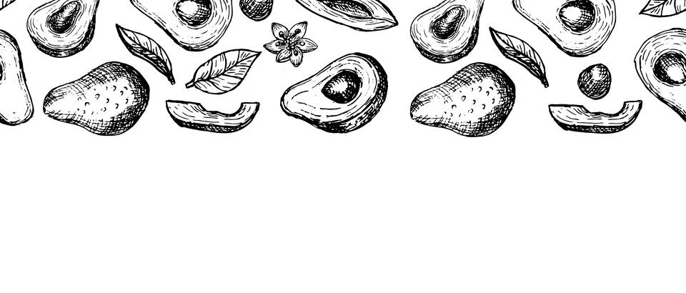 Hand drawn avocado border frame, vintage botanical vector illustration Illustrazione stock