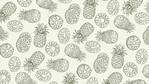 Hand drawn background with pineapple on a seamless loop Stock Footage 313553090