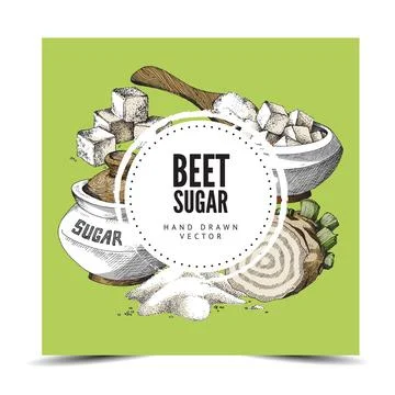 Hand drawn background with round label, place for brand and beet sugar. Vector イラスト素材