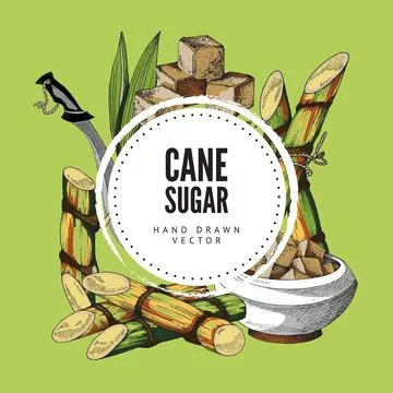 Hand drawn background with round label, place for brand and cane sugar, cane and Stock Illustration