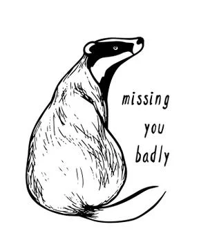 Hand drawn badger Stock Illustration