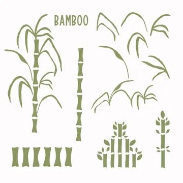 Hand drawn bamboo stem clip art motif collection. Set of modern wagara japanese Stock Illustration