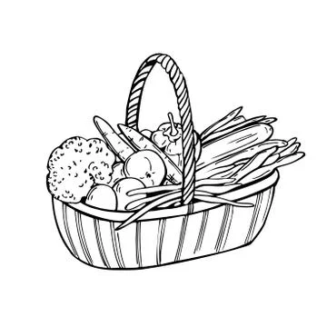 Hand drawn basket with vegetables. Vector sketch  illustration. Illustrazione stock