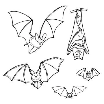 Hand drawn bats . Vector illustration. Stock Illustration
