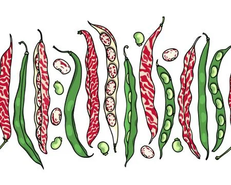 Hand drawn bean pattern Stock Illustration