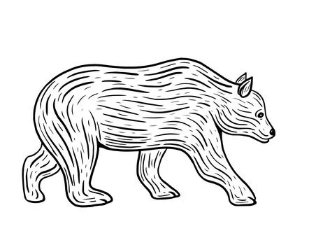 Hand drawn bear walking isolated vector Illustrazione stock
