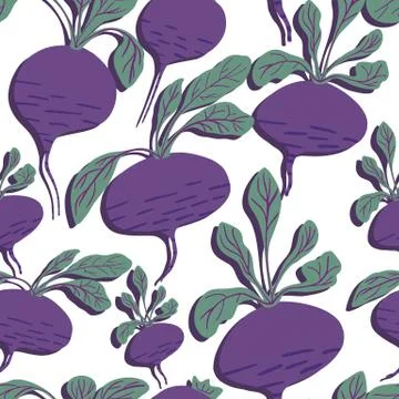 Hand drawn beet seamless pattern on white background. Stock Illustration