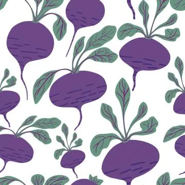 Hand drawn beet seamless pattern on white background. Doodle beetroot wallpap Illustrazione stock
