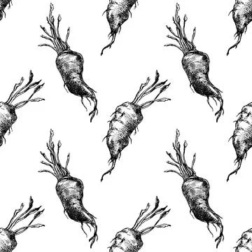 Hand drawn beetroot with leafs. Sketch vintage seamless pattern on white back Stock Illustration
