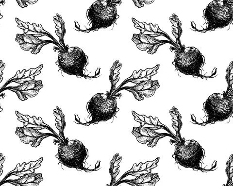 Hand drawn beetroot with leafs. Sketch vintage seamless pattern on white back Stock Illustration