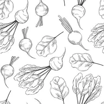 Hand drawn beetroots. Vector  seamless pattern. 스톡 일러스트