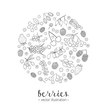Hand drawn berries in circle. Stock Illustration