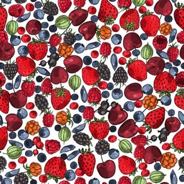 Hand drawn berries.  Stock Illustration