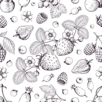 Hand drawn berries pattern. Vintage forest cherry strawberry blackberry Stock Illustration