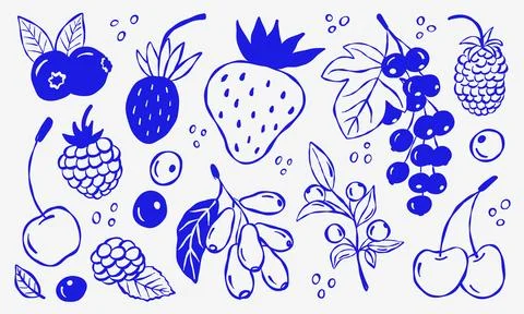 Hand-drawn berries set in blue ink Stock Illustration