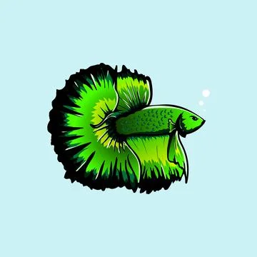 Hand drawn betta fish Stock Illustration