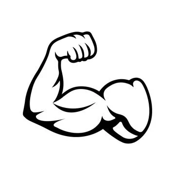 Hand Drawn Biceps Body Builder Arms Vector Illustration Stock Illustration