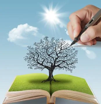 Hand drawn the big tree イラスト素材