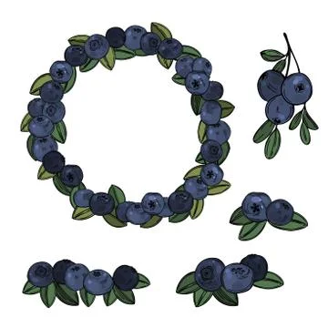 Hand drawn bilberry. Vector sketch illustration Stock Illustration