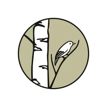 Hand drawn birch tree and a bird Stock Illustration