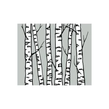 Hand drawn birch tree trunks Stock Illustration