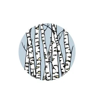 Hand drawn birch tree trunks Stock Illustration