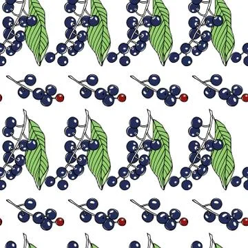 Hand drawn bird cherry pattern Stock Illustration