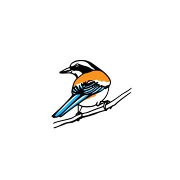 Hand drawn bird Stock Illustration