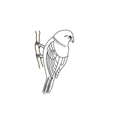 Hand drawn bird on a twig Illustrazione stock