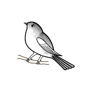 Hand drawn bird on a twig Stock Illustration