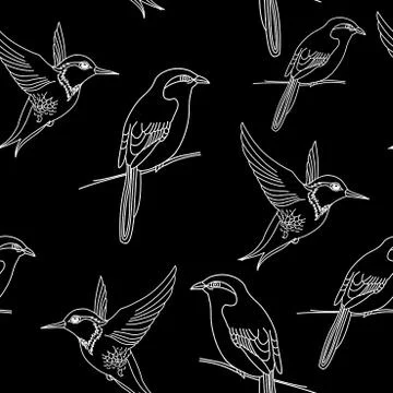 Hand drawn birds contour pattern. Seamless flying bird illustration. Stock Illustration