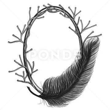 Hand drawn black branch frame with feather for greeting card, isolated image PSD Template