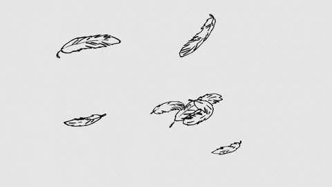 Hand-Drawn Black Feathers Swirling Alpha Channel 4K Stock Footage 346810023