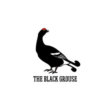 Hand drawn black grouse Stock Illustration