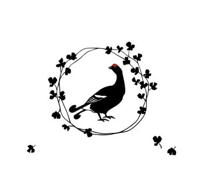 Hand drawn black grouse Stock Illustration