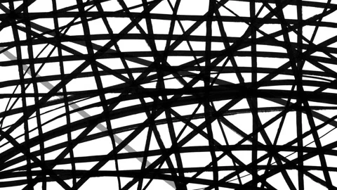 Hand Drawn Black Lines Transition on White Background Stock Footage 337439746