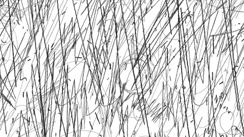 Hand Drawn Black Pencil Scribble Hatch Texture Overlay on White Background Stock Footage 303437469
