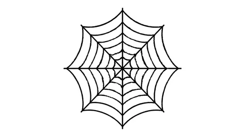 Hand drawn black spider web animation on white background for Halloween vid.. 스톡 동영상 342637641