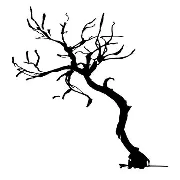 Hand drawn black tree isolated on white background. Branches of small plant on Stock Illustration