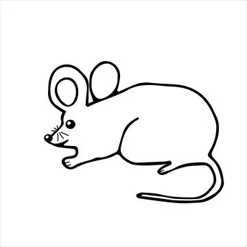 A Hand drawn black vector illustration of a beautiful adult young mouse with Stock Illustration
