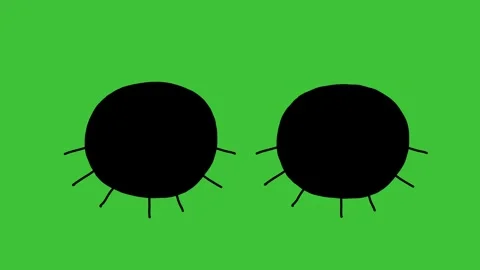 Hand Drawn Blinking Eyes Animation on Green Screen | Cartoon Eye Blink  Stock Footage 329401154