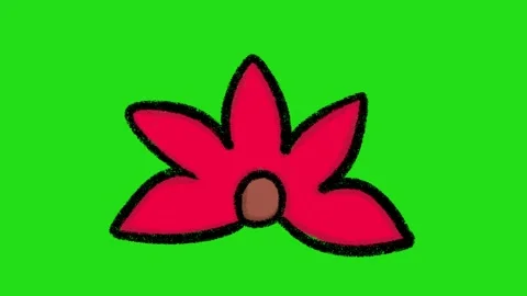 Hand-Drawn Blooming Flower Animation on Green Screen | Colorful 2D Floral Plant  Stockbeeldmateriaal 332615137