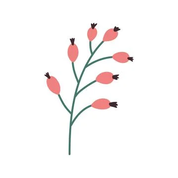 Hand-drawn blooming plant flat simple design. Doodle pink flower isolated o.. Stock Illustration
