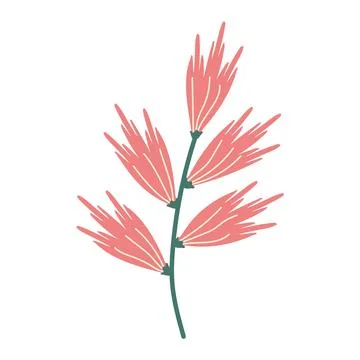 Hand-drawn blooming plant flat simple design. Doodle pink flower isolated o.. Stock Illustration