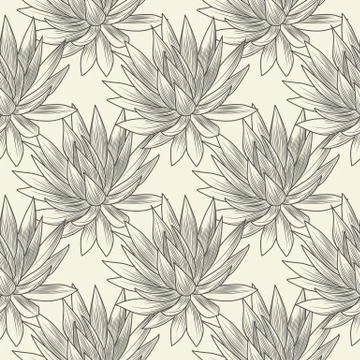 Hand drawn blue agave vector seamless pattern. Succulent plants wallpaper. Stock Illustration