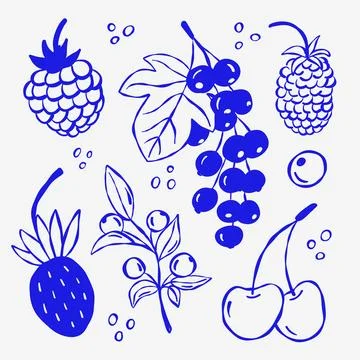 Hand-drawn blue sketch of assorted berries and fruits 스톡 일러스트