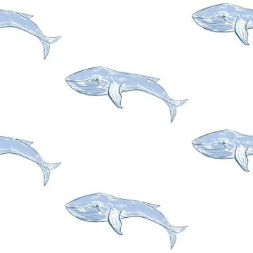 Hand-drawn blue whales vector seamless background pattern Stock Illustration